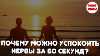 Почему можно успокоить нервы за 60 секунд?