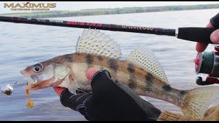 Спиннинг MAXIMUS BLACK WIDOW "Чёрная вдова". Kamfish