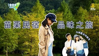 全集【苗栗民宿】落羽松+溫泉+美食度假園區｜英式莊園villa優雅放鬆身心｜藍染文化藝術打造的農村聚落，選一間好好待一天！｜南庄雲水度假森林,八角居所民宿,卓也小屋│Miaoli│ep.331