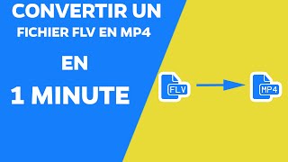 TUTO : Comment convertir un fichier FLV en MP4 en 1 minute