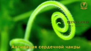 4- Активация сердечной чакры. Биджа мантра