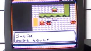 ポケモン金銀　色違いポケモン裏技