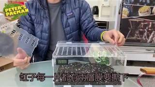 角蛙用 高透明PC飼養缸 組裝教學