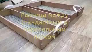 Чем отличается перепелиный и стандартный лоток для инкубатора?