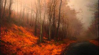 A. Vivaldi-Violin Concerto in A minor RV356