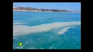 Ruoppolo Teleacras - La liturgia del mare inquinato