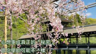 〈心的智慧〉心想事成真正的「秘密」，跟你學的可能不一樣