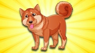Köpekler Hep Hav Hav Der  - Yeni Çocuk Şarkısı