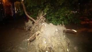 Гроза, ураган в Москве 13.07.2016 Последствия урагана