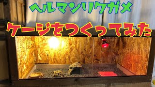 【リクガメ】素人がケージ(家)を作ってみた ? ヘルマンリクガメ ?ペット tortoise 爬虫類 亀