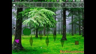 Big Pine Land Escape Walkthrough [BigEscapeGames]