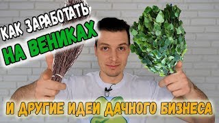 БИЗНЕС НА ДАЧНОМ УЧАСТКЕ И В ДЕРЕВНЕ: КАК ЗАРАБОТАТЬ НА ВЕНИКАХ, РАССАДЕ И ВЫРАЩИВАНИИ ЖИВОТНЫХ
