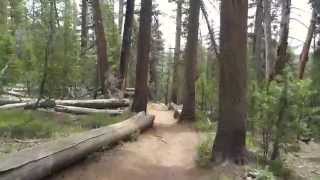 Lembert Dome Hike: Yosemite National Park