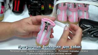 Ботиночки для собак • Цена - Качество • Зоомагазин