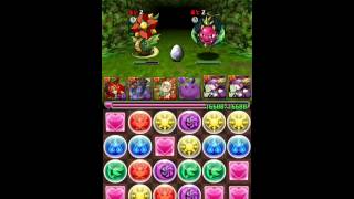 パズドラ  夢見洞 邪炎の魔神将・ベリアル 6.25倍PT ノーコン攻略