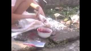 women slaughter chicken