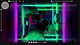 Astrix & Atomic Pulse - Scientific Reality [Video Clip]