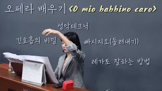 가성 잘하고 싶은 분 꼭! 보세요 '잔니스키키' O mio babbino caro 오미오밥비노 정.확.하.게 배우기 테크닉 핵심편 #돌려내기 #노래잘하는법