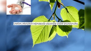Լորենու տերևների օգնությամբ ազատվեք աղերի կուտակումից