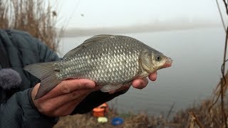 ЛОВЛЯ КАРАСЯ В ДЕКАБРЕ 2019 РЫБАЛКА НА ПОПЛАВОЧНУЮ УДОЧКУ