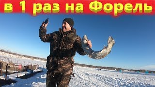 Ловля форели зимой на платнике, рыбалка в первый раз!