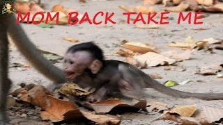 CRY&CRY CALLING BACK , PITY BABY ALBA CRY LOUDLY ANGRY MOM ANNA FIGHTING NO REASON |