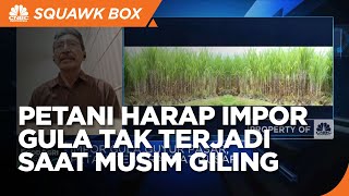 Petani Harap Impor Gula Tak Terjadi Saat Musim Giling, Ada Apa?