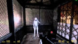Half - Life 2: Combine Assassin skin for Alyx.