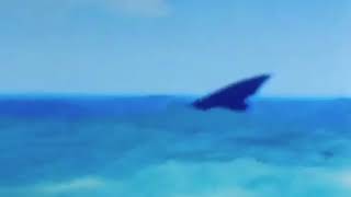 The Megalodon!!!