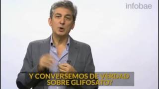 Veneno en Sangre   Agrotóxicos