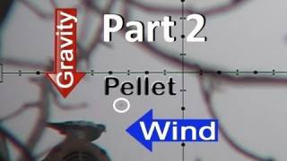 How to Shoot a Pigeon in the Wind - Ranging Targets
