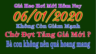 Giá heo hơi ngày hôm nay 6/1/2020 | Lợn hơi ổn định, chờ đợt tăng giá mới