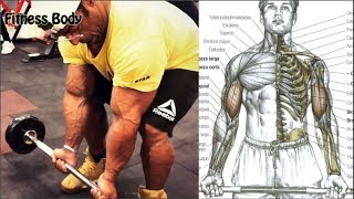 9 Ejercicios para Bíceps Grandes, Será Cierto, Biceps Workout