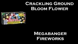 Crackling Ground Bloom Flower - Megabanger Fireworks