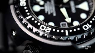 SEIKO PROSPEX MARINEMASTER 1000 SBDX011
