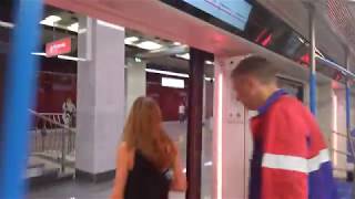 Участок Сокольнической линии от станции "Саларьево" до станции "Коммунарка" в первый день работы.