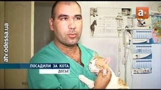 АТВ: Тюремный срок за издевательство над котом