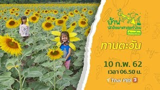 ทานตะวัน : บ้านนักวิทยาศาสตร์น้อย  (10 ก.พ.62)