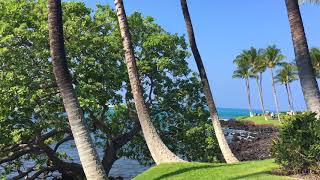 170120 Big Island Hilton Waikoloa grounds