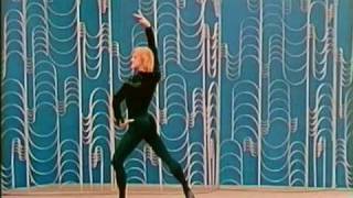 DON QUIXOTE (Timofeyeva-Godunov, 1976)