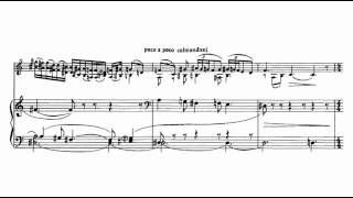 Béla Bartók - Violin Concerto No. 2 [2/3]