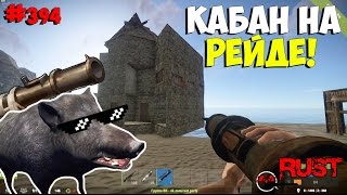 NEW Rust ➨ Приручил кабана! Кабан рейдит дом и получает топ лут!  ►#394