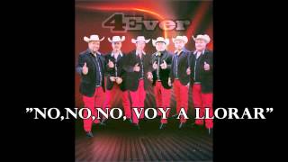 No,No,No, Voy A Llorar- Los Huaches De Tierra Caliente- Disco # 4, 2013