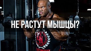 Как заставить свои мышцы расти? Почему мышцы не растут. Как накачать мышцы.