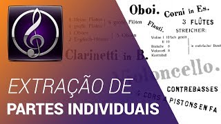 COMO EXTRAIR PARTES INDIVIDUAIS // TUTORIAIS SIBELIUS