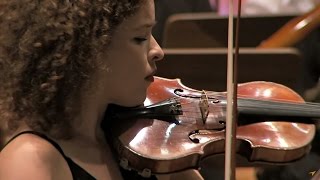 Ludwig van Beethoven - Violin Concerto in D Major, Op. 61