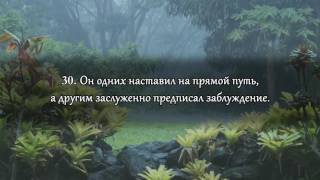 сура 7 аль Араф , коран на русском языке читает Мишари Рашид алафаси