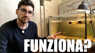 Cosa SERVE alle TARTARUGHE d'Acqua Dolce? Consigli Acquario FUNZIONALE