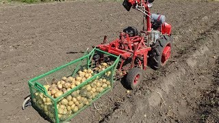 Копка картошки с КОНТЕЙНЕРОМ!!! Легко УБИРАЮ урожай САМ!!!