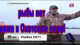 Беспредел на дальнем востоке. Рыбы не будет 2017